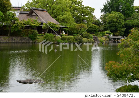 Suizenji Park in the rain 54094723