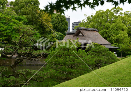 Suizenji Park in the rain 54094730