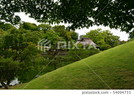 Suizenji公園在雨中 54094733
