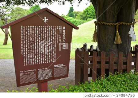 Suizenji Park in the rain 54094756