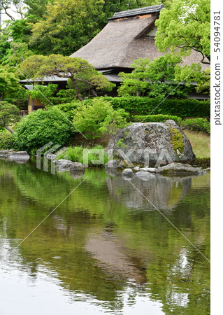Suizenji Park in the rain 54094781