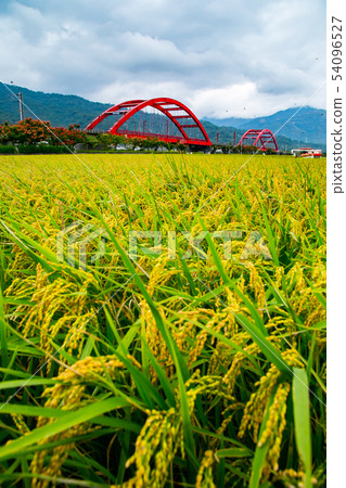 台灣花蓮玉里火車風光Asia Taiwan Hualien scenery 台灣花蓮玉里火車風光Asia Taiwan Hualien scenery 54096527