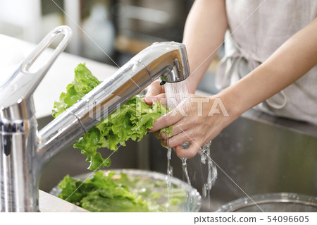 廚房的女人 廚房的女人 54096605