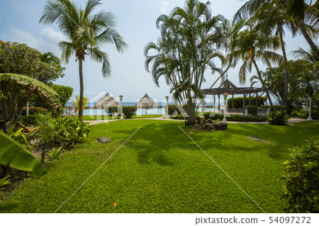 Colorful resort condos with palm trees Colorful resort condos with palm trees 54097272