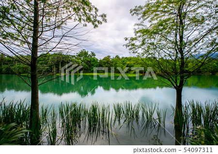 Taiwan Taiwan Hualien Forest Park Taiwan Taiwan Hualien Forest Park 54097311