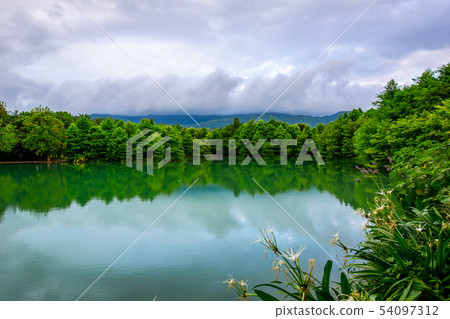 台灣花蓮壽豐雲山水公園Asia Taiwan Hualien Forest Park 台灣花蓮壽豐雲山水公園Asia Taiwan Hualien Forest Park 54097312