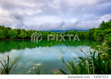 台灣花蓮壽豐雲山水公園Asia Taiwan Hualien Forest Park 台灣花蓮壽豐雲山水公園Asia Taiwan Hualien Forest Park 54097313