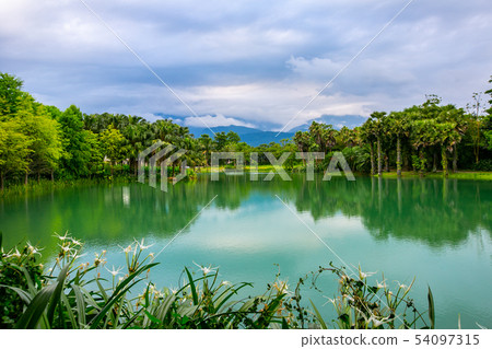 台灣花蓮壽豐雲山水公園Asia Taiwan Hualien Forest Park 54097315