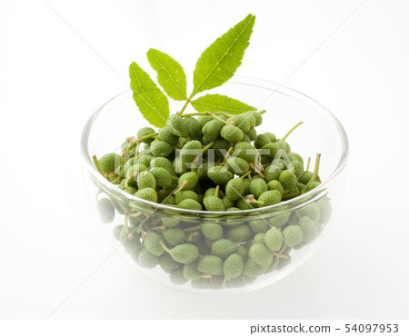 花椒 花椒 54097953