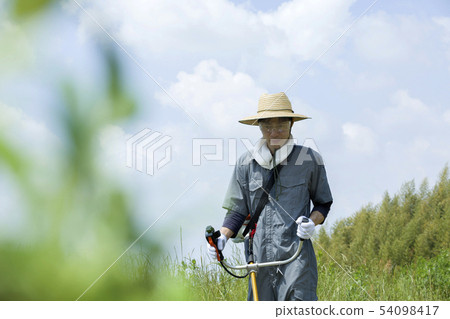 Weeding image, weeding image Weeding image, weeding image 54098417