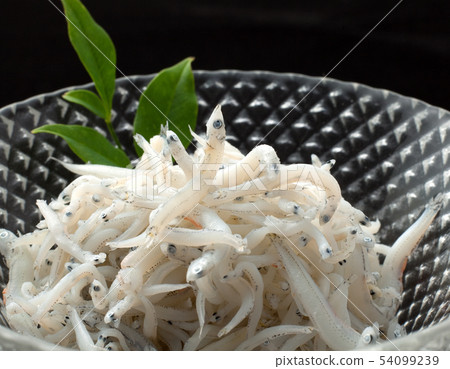 Shiugake fried shrimp Shiugake fried shrimp 54099239