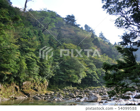 Natural landscape 54099588