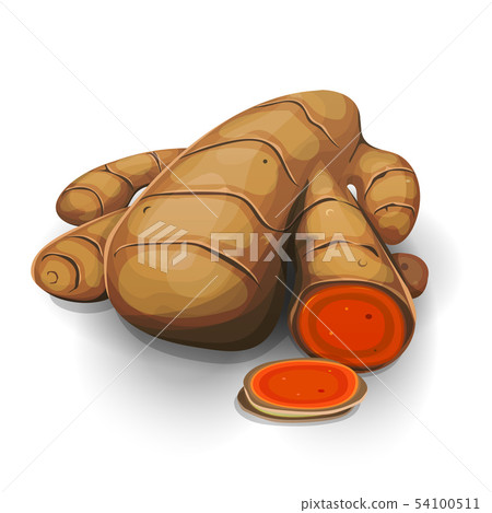 Curcuma Root With Slices Cut Curcuma Root With Slices Cut 54100511
