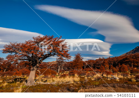 Beautiful autumn view Fitz Roy mountain. Patagonia, Argentina Beautiful autumn view Fitz Roy mountain. Patagonia, Argentina 54103111