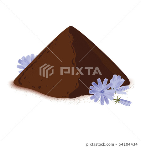Instant chicory root roasted powder, and fresh chicory flowers. Natural source of inulin, healthy 54104434