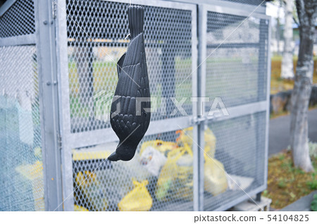 Crow measures 54104825