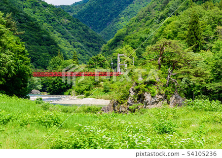 Birthplace valley 54105236