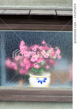 Flower of the other side of the glass Flower of the other side of the glass 54105854