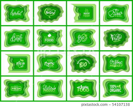 Natural Food Logotypes with Plant Leaves Flora Natural Food Logotypes with Plant Leaves Flora 54107138