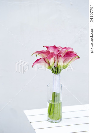 顏色花白色背景 54107794