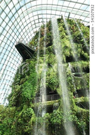 Cloud Forest Waterfall Cloud Forest Waterfall 54107932