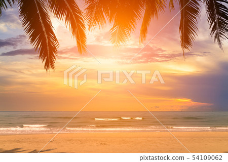 sunset over the sea with coconut tree at summer 54109062
