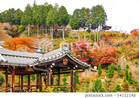 Autumn leaves of Zen-zenji 54112148