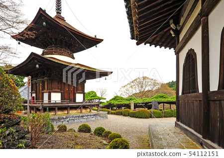 Zuren Temple's Yulong pines and taobapo 54112151