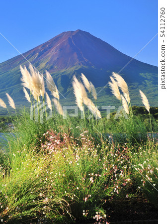 Scenery from Oishi Park-777001 54112760