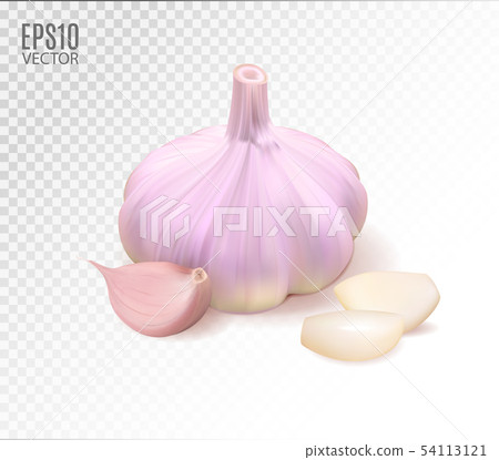 Isolated garlic. Raw garlic with segments isolated on transpaernt background. Quality realistic 54113121