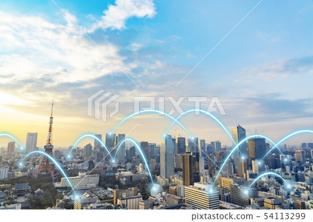 The network The network 54113299