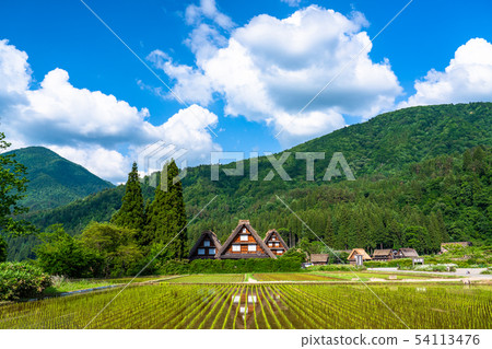 "Gifu prefecture" Shirakawago Gassho village, rice planting season "Gifu prefecture" Shirakawago Gassho village, rice planting season 54113476