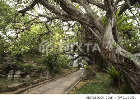 Fuzhou garden 54113585