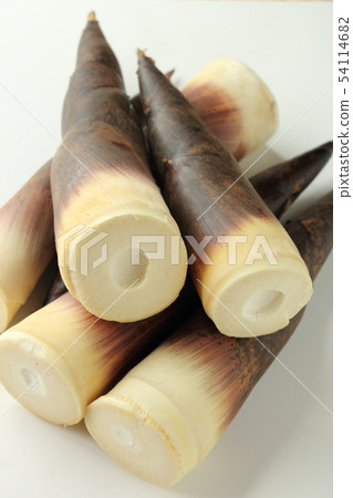 Bamboo shoot (Matake) 54114682