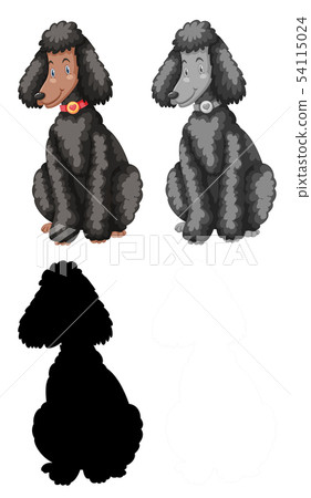 Set of poodle character 54115024