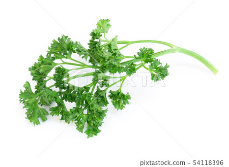 Parsley vegetable isolated on white background 54118396