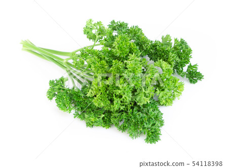 Parsley vegetable isolated on white background Parsley vegetable isolated on white background 54118398