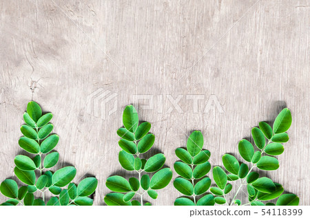 Closeup top view moringa leaves branch, herb and 54118399