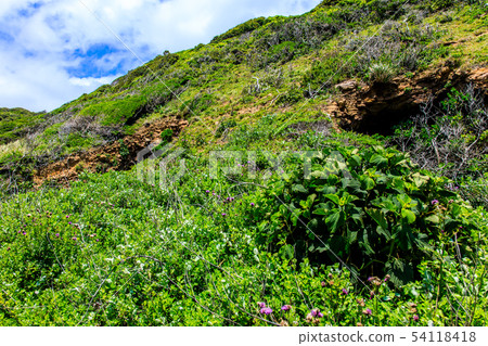 Ashinoshima (Oniko's fort: Air shelter) [Sanuki City, Nagasaki Prefecture] 54118418