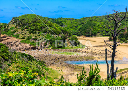 蘆之島（從斜坡到海灘的景色）[長崎縣壹岐市] 54118585