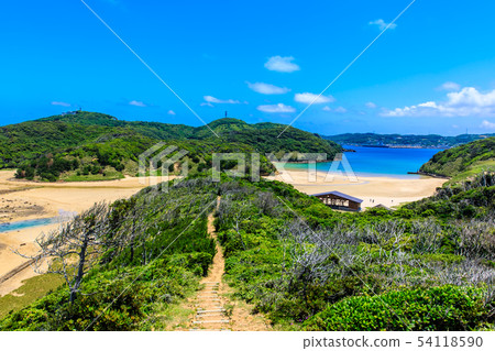 蘆之島（從斜坡到海灘的景色）[長崎縣壹岐市] 54118590