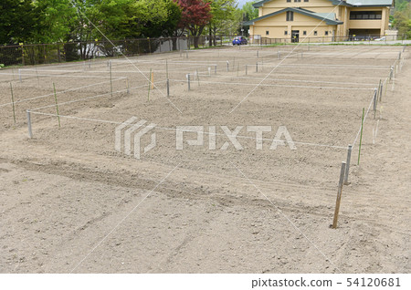 Rental farm (before fixed planting) 54120681