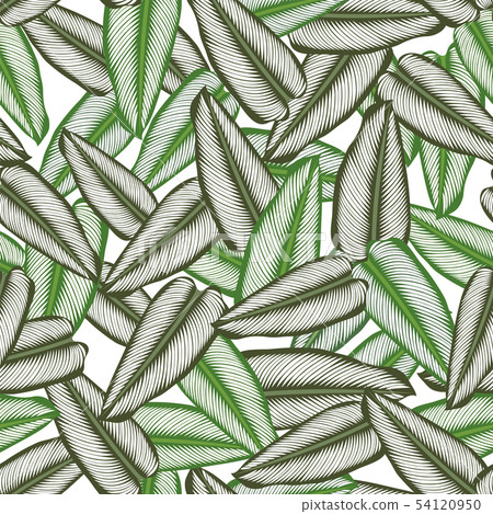 Seamless pattern with tropical leaves 54120950