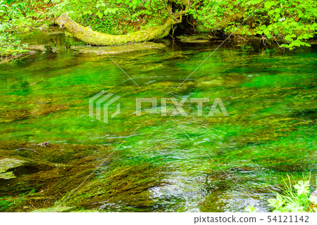 Kamogawa clear stream "Nagano Prefecture Kamikochi" 54121142