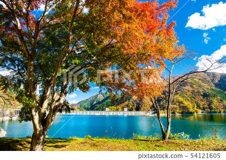 Okotama水壩在東京奧多摩秋葉 54121605