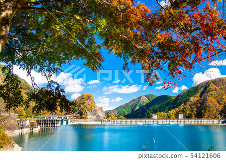 Okotama Dam in Tokyo Okutama Autumn leaves 54121606