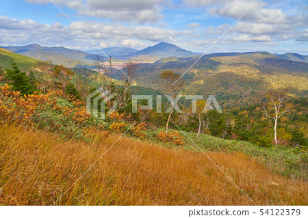 在Oze的秋天和一年級學生攀登山的東北側(在Ashigatake方向) 在Oze的秋天和一年級學生攀登山的東北側(在Ashigatake方向) 54122379