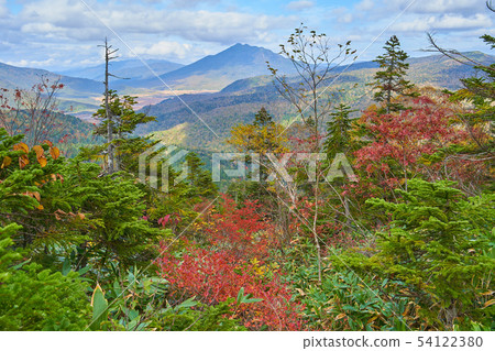 在Oze的秋天和一年級學生攀登山的東北側（在Ashigatake方向） 54122380