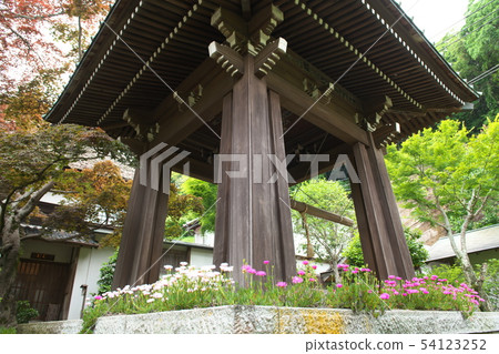 Kamakura Kaizoji Temple of Flowers Kamakura Kaizoji Temple of Flowers 54123252