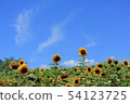 How hot seems to be hot sunflower blooms without defeating the heat 54123725